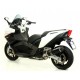 SILENCER RACE-TECH TITANIUM CARBON OUTPUT