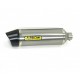 SILENCER RACE-TECH TITANIUM CARBON OUTPUT