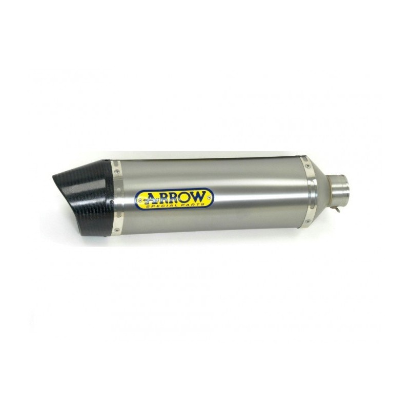 SILENCER RACE-TECH TITANIUM CARBON OUTPUT