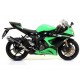 SILENCER RACE-TECH TITANIUM AND CARBON APPROVED