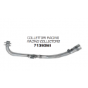 COLLECTOR STAINLESS STEEL RACING ARROW