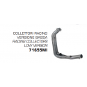 COLECTOR VERSION BAJA RACING ARROW