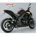COUVERCLE CARBONE BODIS EXHAUST Z1000