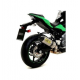 SILENCER RACE-TECH TITANIUM CARBON OUTPUT