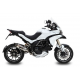 EXHAUST OVAL CARBONO MIVV APPROVED