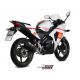 ESCAPE OVAL COMPLETO CARBONO MIVV HOMOLOGADO