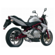 ESCAPE OVAL CARBONO MIVV HOMOLOGADO