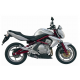ESCAPE OVAL CARBONO MIVV HOMOLOGADO