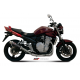 ESCAPE OVAL CARBONO MIVV GSF 1200 BANDIT 1996-00
