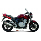 ESCAPE OVAL COMPLETO CARBONO MIVV HOMOLOGADO