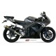 ESCAPE OVAL CARBONO MIVV HOMOLOGADO