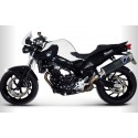 ESCAPE CARBONO TERMIGNONI HOMOLOGADO