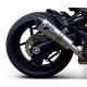 CARBON EXHAUST TERMIGNONI APPROVED
