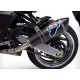 ESCAPE CARBONO TERMIGNONI HOMOLOGADO