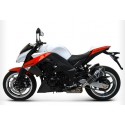 CARBON EXHAUST TERMIGNONI APPROVED
