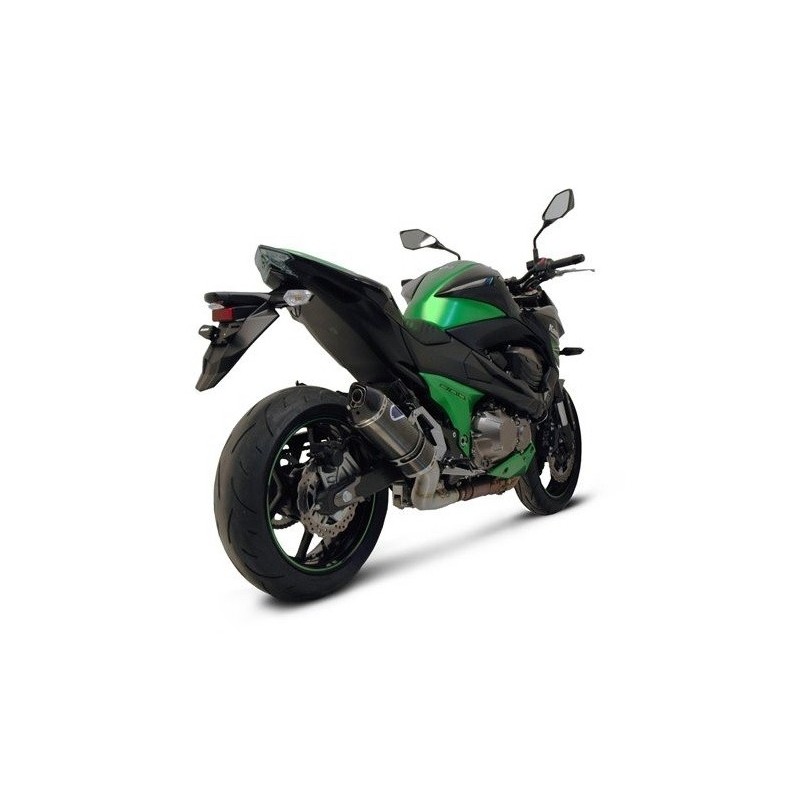 ESCAPE CARBONO TERMIGNONI HOMOLOGADO