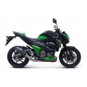ESCAPE CARBONO TERMIGNONI HOMOLOGADO