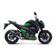 CARBON EXHAUST TERMIGNONI APPROVED