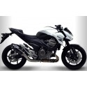 CARBON EXHAUST TERMIGNONI APPROVED
