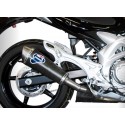 ESCAPE OVAL CARBONO TERMIGNONI HOMOLOGADO