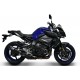 CARBON EXHAUST TERMIGNONI APPROVED