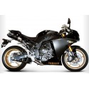 EXHAUST DOUBLE CARBON TERMIGNONI APPROVED
