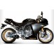 EXHAUST DOUBLE CARBON TERMIGNONI APPROVED