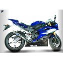 CARBON EXHAUST TERMIGNONI APPROVED