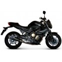 FULL SYSTEM TERMIGNONI RACING
