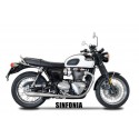 EXHAUST SINFONI SPARK BONNEVILLE T120