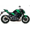 SILENCER RACE-TECH TITANIUM CARBON OUTPUT
