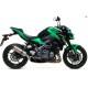 SILENCER RACE-TECH TITANIUM CARBON OUTPUT