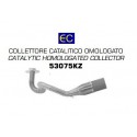 COLECTOR RACING ARROW VESPA GTS 125 IE ’17/18