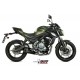DELTA RACE EXHAUST APPROVED MIVV Z 650 2017-
