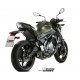 DELTA RACE EXHAUST APPROVED MIVV Z 650 2017-
