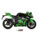 ESCAPE DELTA RACE MIVV HOMOLOGADO Z 650 2017-