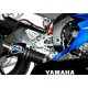 ESCAPE CARBONO TERMIGNONI HOMOLOGADO