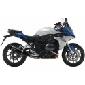 SILENCIOSO CARBONO LEOVINCE R 1200 RS 2015-16