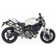 SILENCIOSO INOX LEOVINCE MONSTER 1100/S 2009-10