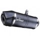 SILENCIOSO INOX LEOVINCE MONSTER 1100/S 2009-10