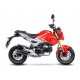 LEOVINCE CARBONE KIT COMPLET MSX 125 / GROM 17/20