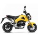 LEOVINCE CARBONE KIT COMPLET MSX 125 / GROM 17/20