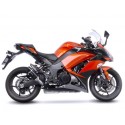 DOBLE ESCAPE LV PRO CARBONO LEOVINCE Z 1000 SX 2017-19