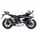 ESCAPE CARBONO LV ONE EVO LEOVINCE ZX-6R NINJA 2013-16