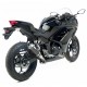 KIT GP CORSA CARBONE LEOVINCE NINJA 300 R / ABS 2013-17