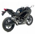 KIT GP CORSA CARBONE LEOVINCE NINJA 250 R 2013-16