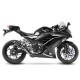 KIT GP CORSA CARBONE LEOVINCE NINJA 300 R / ABS 2013-17