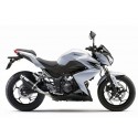 ESCAPE GP CORSA CARBONO LEOVINCE Z 250 2015-16
