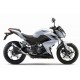 KIT GP CORSA CARBONE LEOVINCE NINJA 300 R / ABS 2013-17