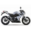 SILENCIEUX INOX LEOVINCE Z 250 2015-16